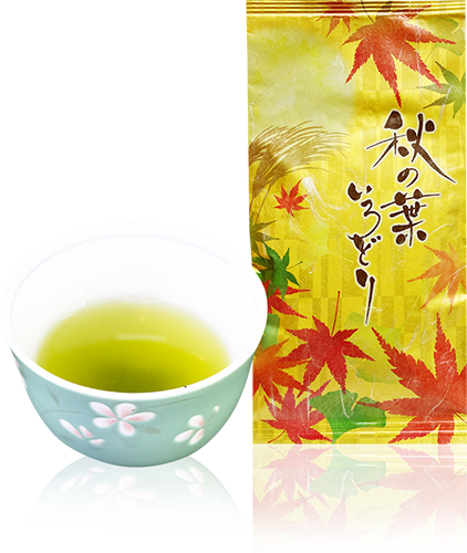 八女茶 秋のいろどり 八女 美緑園 製茶 日本茶 緑茶 煎茶